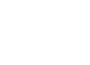Point Real Estate logo white